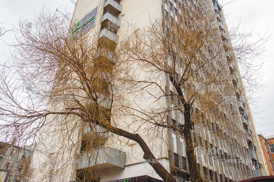 БЦ Шота Руставели 39/41